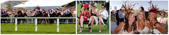 Royal Ascot Birmingham Party Bus Limo Hire